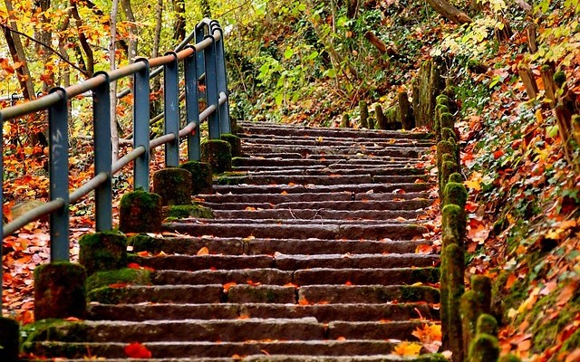 Guardrail With Http4s Tutorial