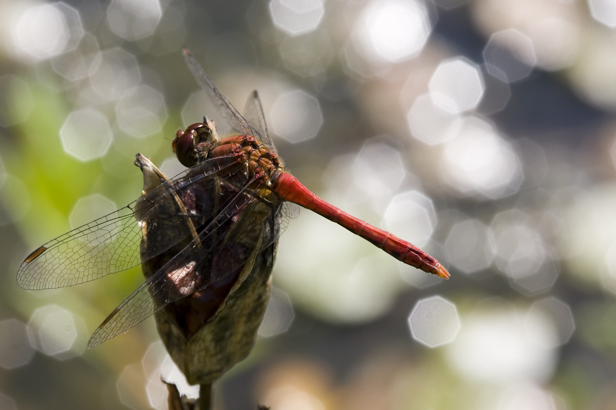 Using Dotty Union types with Akka Typed - Part II