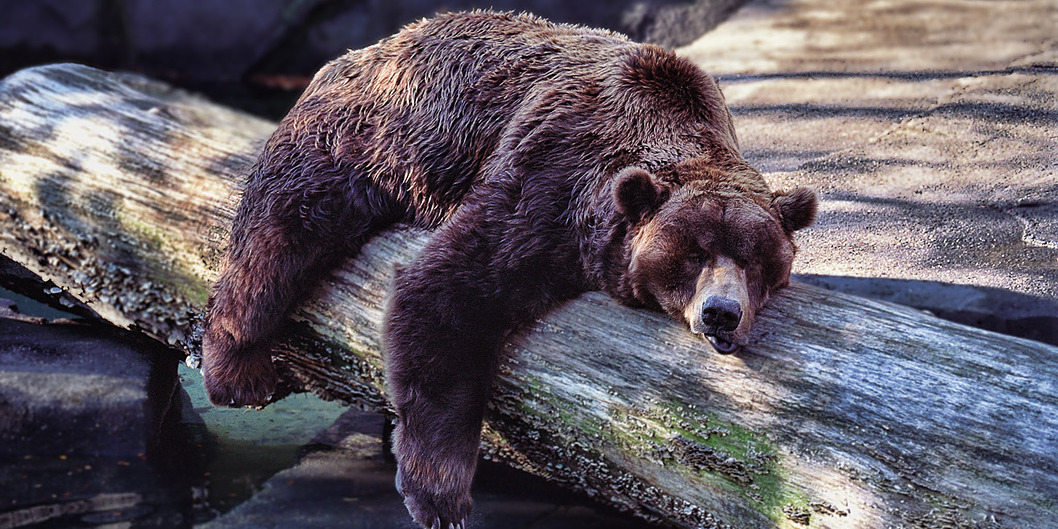 When Hibernate caching can go wrong